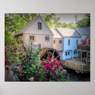 Affiche Roses au moulin de blé à moudre de Plimoth