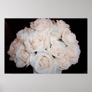 Affiche Roses blanches