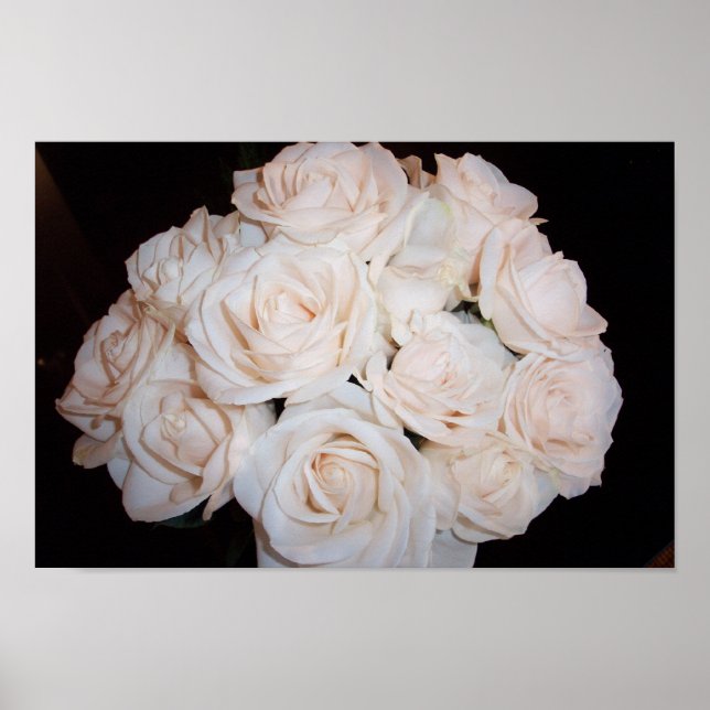 Affiche Roses blanches (Devant)