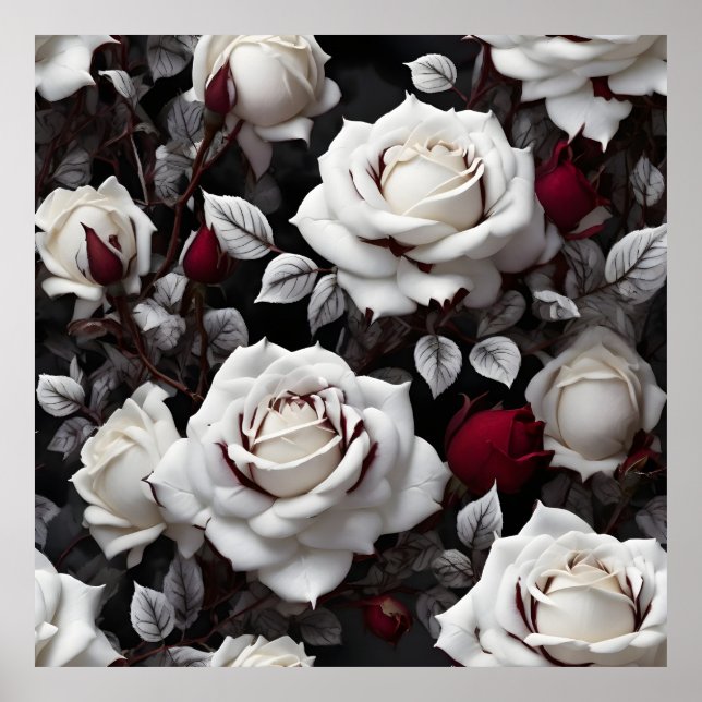 Affiche Roses Blanches Bourgogne Avec Feuilles Noirs (Devant)