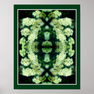 Affiche Roses blanches frissonnantes miroir Abstrait