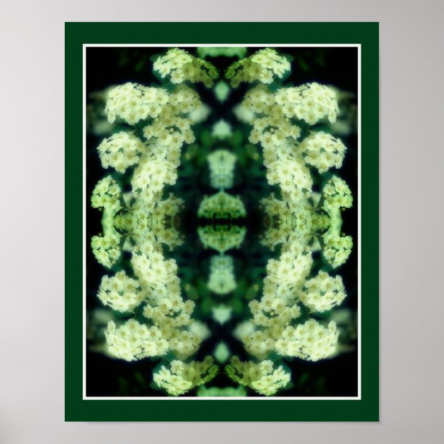 Affiche Roses blanches frissonnantes miroir Abstrait (Devant)