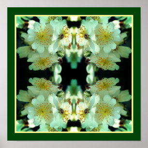Affiche Roses Blanches Sauvages Grimpantes Art Floral Abst