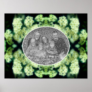 Affiche Roses Blanches Sauvages Proliférantes Créez Votre 