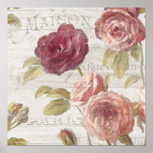 Affiche Roses de Français de rose en pastel