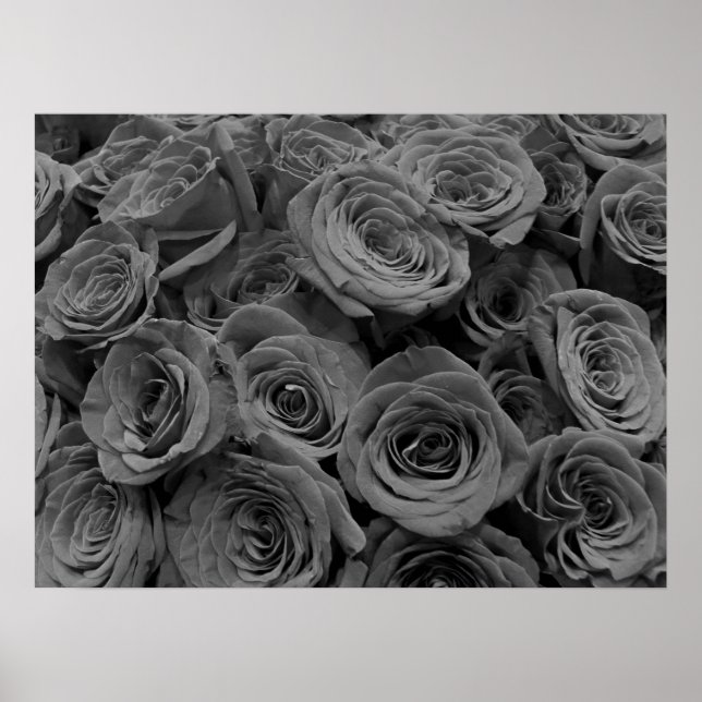 Affiche Roses gris, gris floral photo l (Devant)