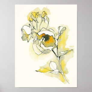 Affiche Roses jaune et blanc