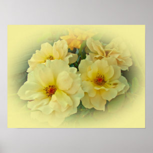 Affiche Roses jaunes
