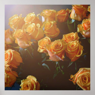 Affiche Roses jaunes