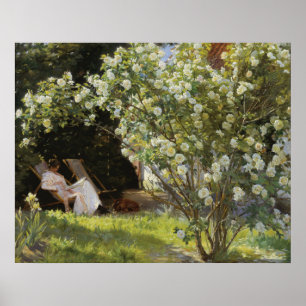Affiche Roses. Marie Krøyer assise dans la chaise longue