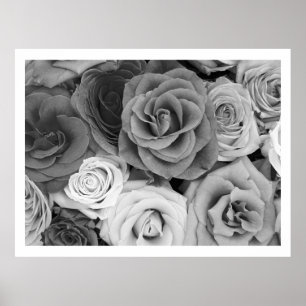 Affiche Roses Noir Et Blanc Motif Large