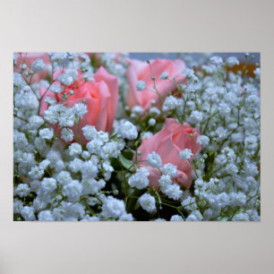 Affiche Roses roses roses