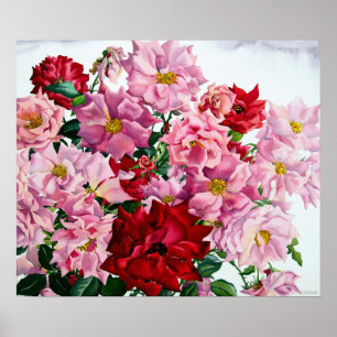 Affiche Roses rouges et roses 2008