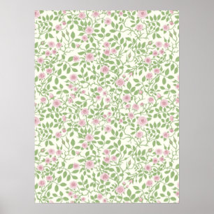 Affiche Roses sauvages