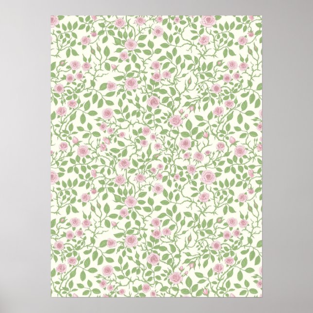 Affiche Roses sauvages (Devant)