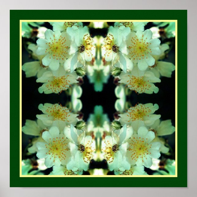 Affiche Roses Sauvages Blanches Grimpantes Art Floral Abst (Devant)