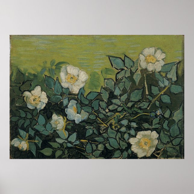 Affiche Roses sauvages par Vincent Van Gogh (Devant)