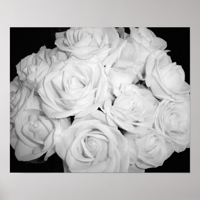 Affiche Roses sur toile (Devant)
