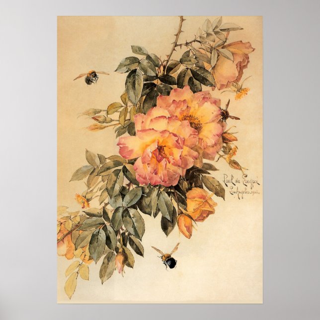 Affiche Roses vintages et bourdons (Devant)