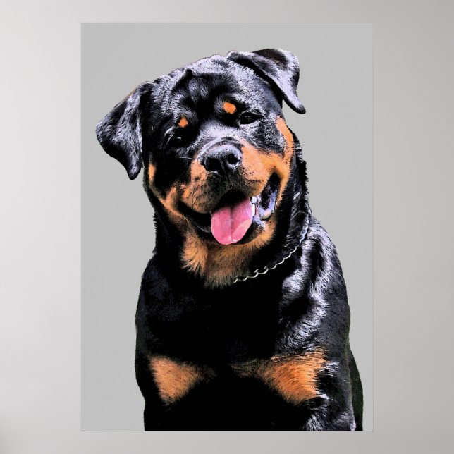 Affiche Rottweiler (Devant)