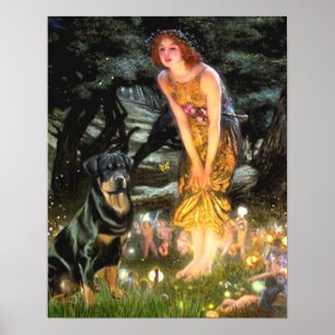 Affiche Rottweiler (#3) - Mid Eve