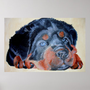 Affiche Rottweiler Chiot Artistique Portrait pour Animaux