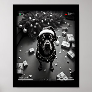 Affiche Rottweiler de Noël pris sur caméra 