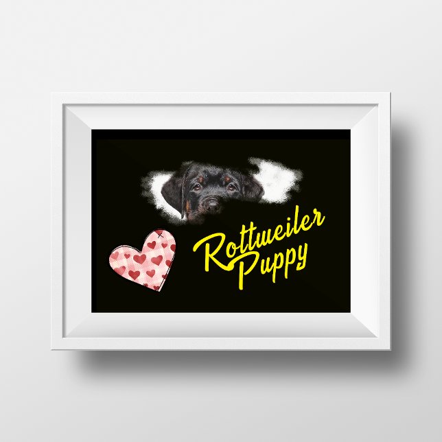 Affiche Rottweiler Eyes Solid Color  (Créateur téléchargé)