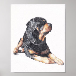 Affiche Rottweiler Laying Dog Art Print