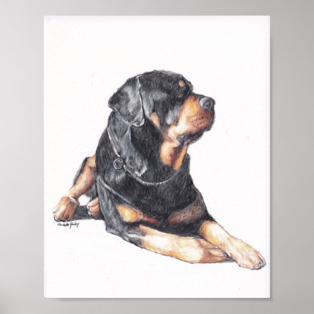 Affiche Rottweiler Laying Dog Art Print (Devant)