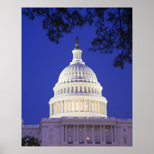 Affiche Rotunda du capitol des États-Unis la nuit,