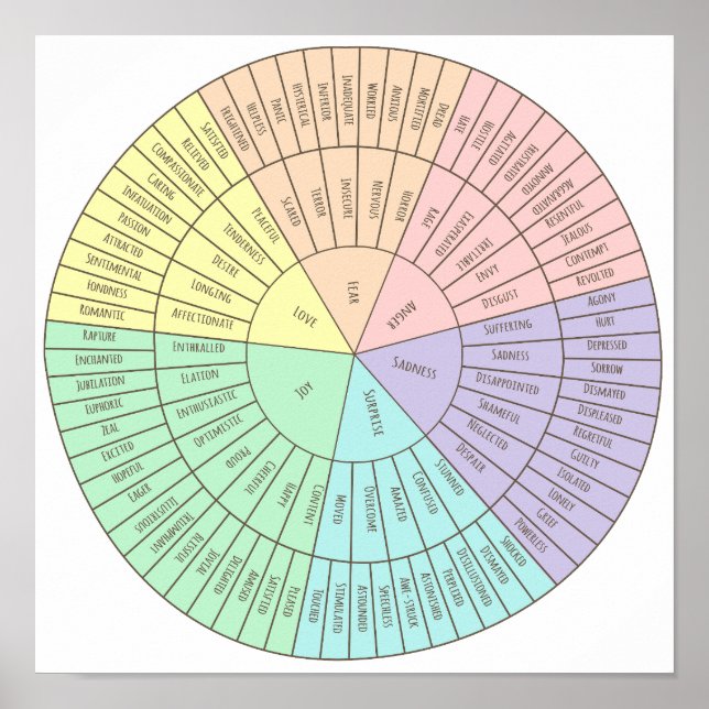 Affiche Roue de l'affiche des émotions (Devant)