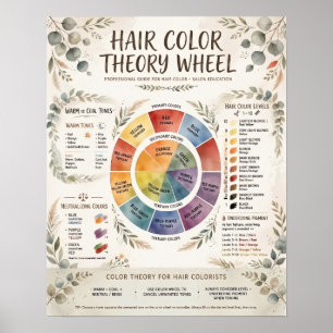 Affiche Roue de Théorie de Couleur de Cheveux Boho