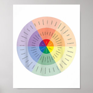Affiche Roue des sentiments Santé mentale Personnes attein