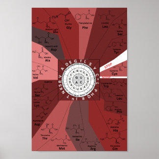 Affiche Roue génétique du diagramme de codon en acides ami