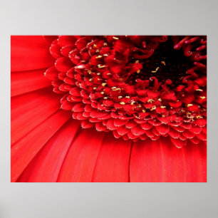 Affiche Rouge