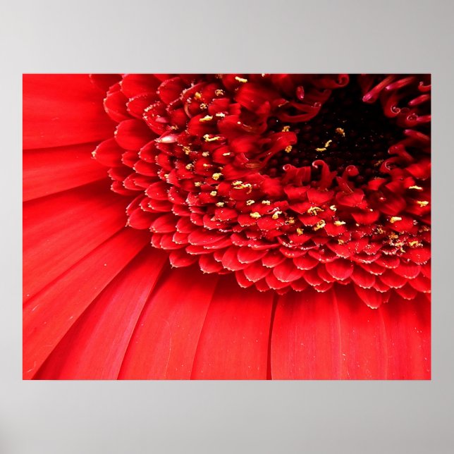 Affiche Rouge (Devant)