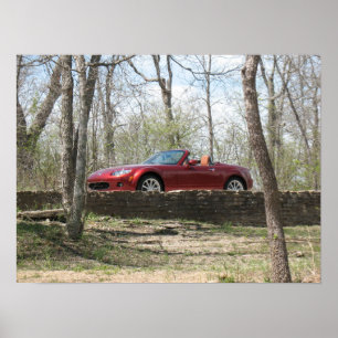 Affiche Rouge cuivre