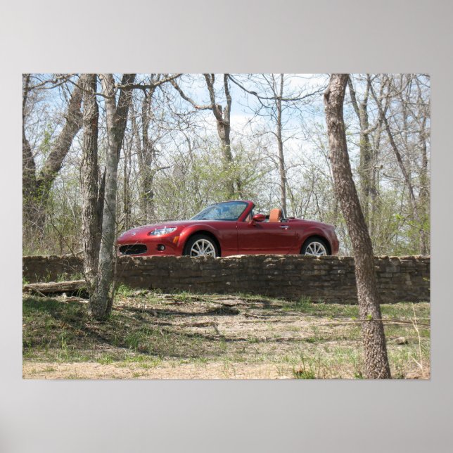 Affiche Rouge cuivre (Devant)