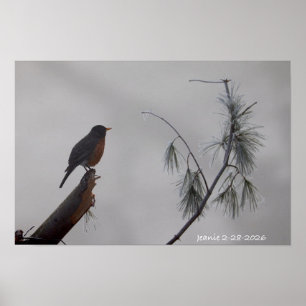 Affiche Rouge-gorge en hiver