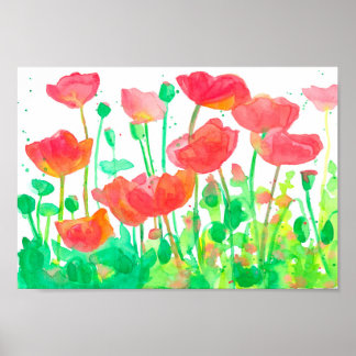Affiche Rouge Orange Poppies de champ Aquarelle