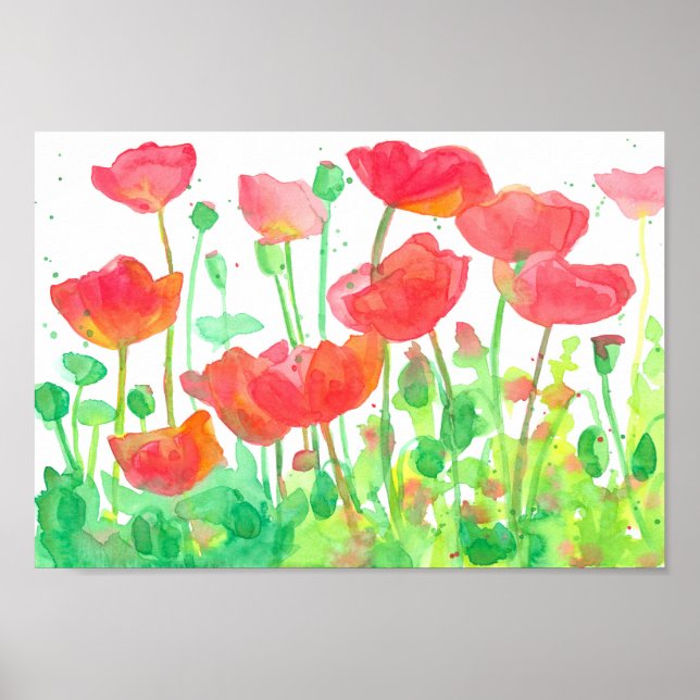 Affiche Rouge Orange Poppies de champ Aquarelle (Devant)