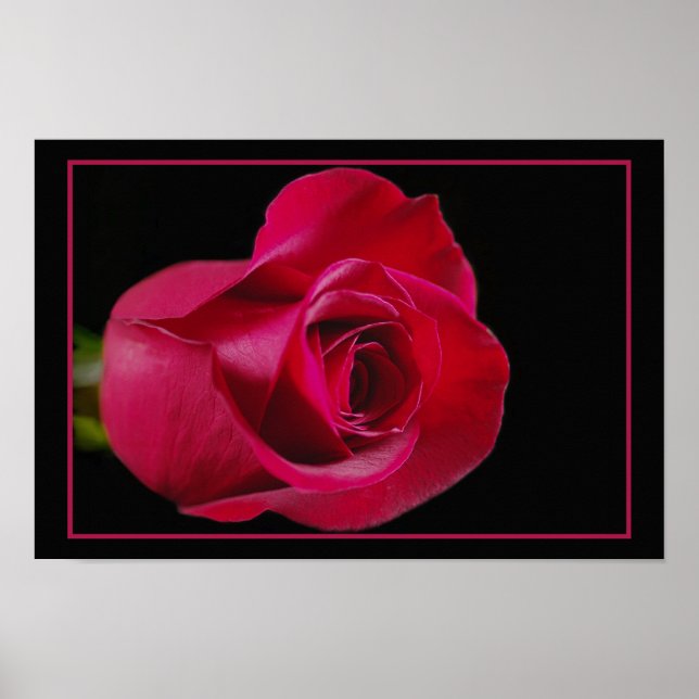 Affiche Rouge Rose Bud Print (Devant)