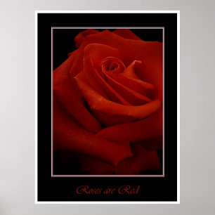 affiche rouge roses