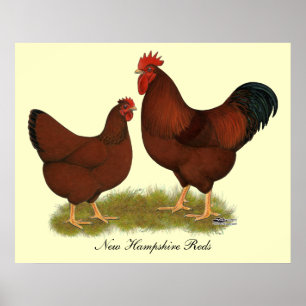 Affiche Rouges du New Hampshire