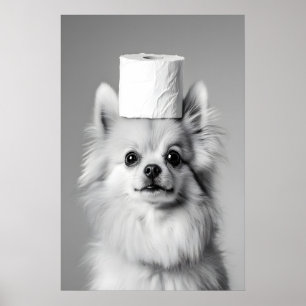 Affiche Rouleau de papier toilette imprimé Pomeranian, sal