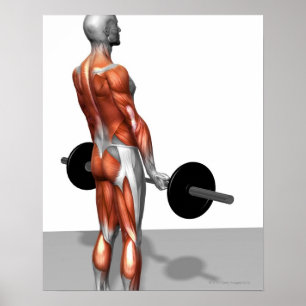 Affiche Roumain Deadlift