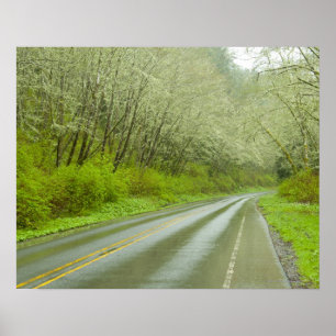 Affiche Route à distance par la forêt