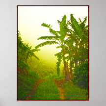 Route dans le brouillard