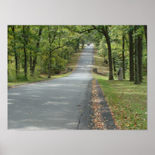 Affiche Route de campagne à travers les arbres Wall art.